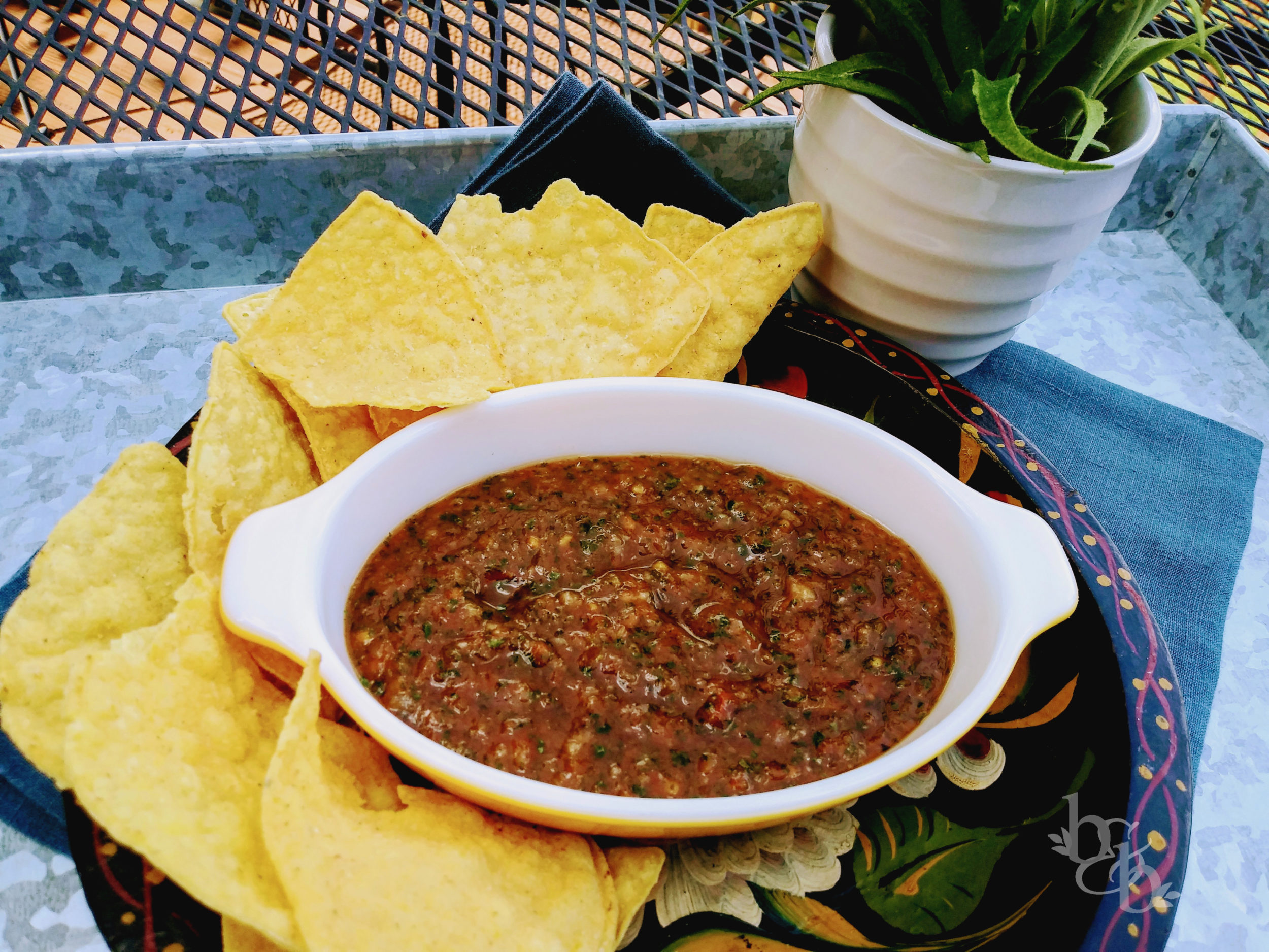 Fresh Homemade Salsa - Biscuits and Basil